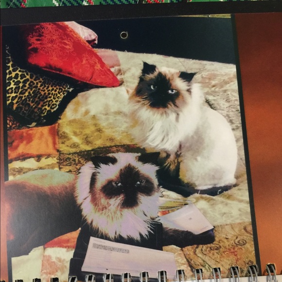 Meet your Posher, Vanessa - Picture 3 of 6